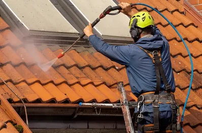 Démoussage et hydrofuge de toiture au Buisson